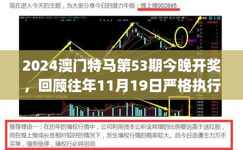 2024澳门特马第53期今晚开奖，回顾往年11月19日严格执行的解答与解析_SVN6.26.65豪华版本