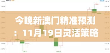 今晚新澳门精准预测：11月19日灵活策略解析_GMG3.18.59智能版