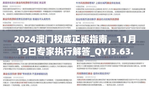 2024澳门权威正版指南，11月19日专家执行解答_QYI3.63.41命理解析