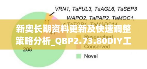 新奥长期资料更新及快速调整策略分析_QBP2.73.80DIY工具版