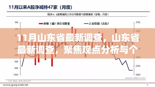 山东省最新调查聚焦观点分析与个人立场揭秘（11月版）