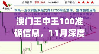 澳门王中王100准确信息，11月深度现象解析与答疑_OFS5.21.91精选版