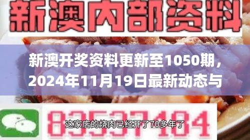 新澳开奖资料更新至1050期，2024年11月19日最新动态与解析方案_FKB7.68.81更换版