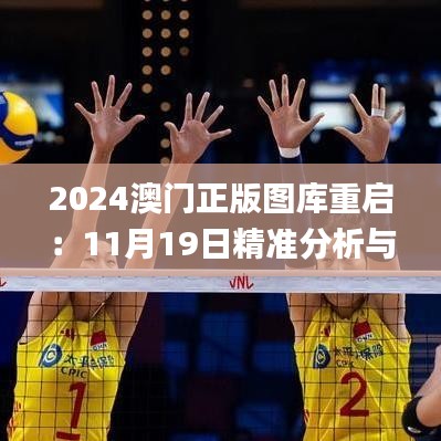 2024澳门正版图库重启：11月19日精准分析与问题解答_DTZ4.30.56本命境