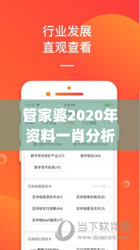 管家婆2020年资料一肖分析及往年11月19日灵活操作方案设计_TXB6.25.30综合版