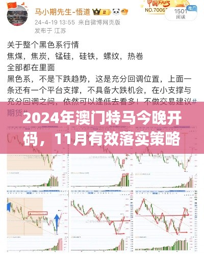 2024年澳门特马今晚开码，11月有效落实策略的深度分析_BOB8.80.79官方版