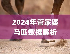 2024年管家婆马匹数据解析及科学研究解答_IFU3.69.24旗舰版