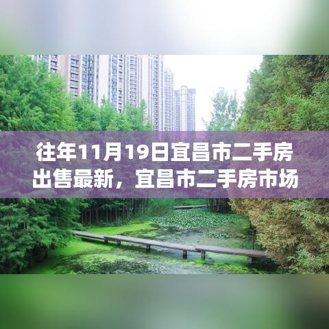 揭秘往年11月19日宜昌市二手房市场风云再起，最新出售动态全解析