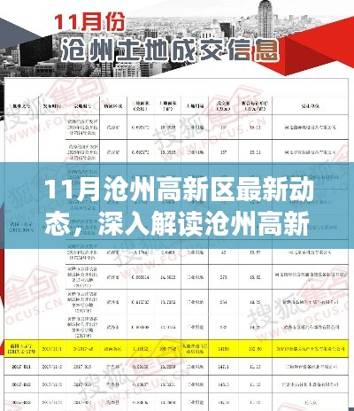 沧州高新区十一月最新动态深度解读，产品特性、用户体验与市场定位分析