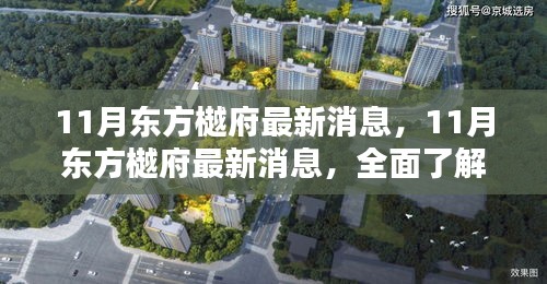 11月东方樾府最新动态，全面理解与参与指南