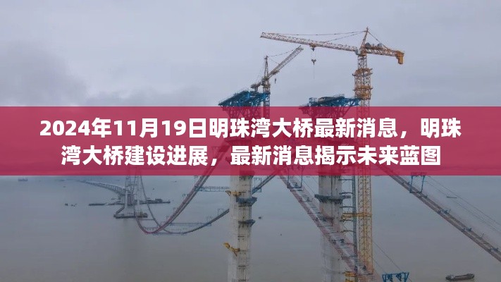 明珠湾大桥建设进展更新，最新消息揭示未来蓝图（2024年11月19日）