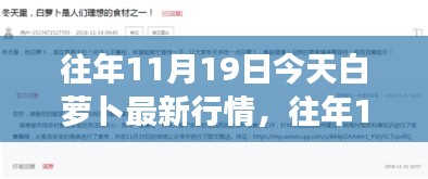 往年11月19日白萝卜市场行情概览与最新行情分析