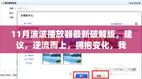 11月波波播放器最新破解版，建议，逆流而上，拥抱变化，我与11月波波播放器最新破解版的励志故事