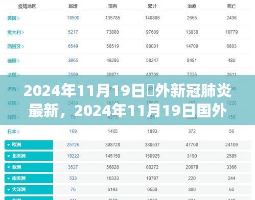 2024年11月19日囯外新冠肺炎最新，2024年11月19日国外新冠肺炎最新动态，全球防控进展与案例分析