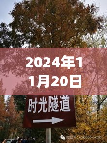 揭秘，郯城邳州事件最新动态与真相揭秘（2024年11月20日）