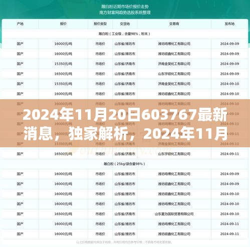 独家解析，最新发布的关于代码603767的全面评测消息（日期，2024年11月20日）