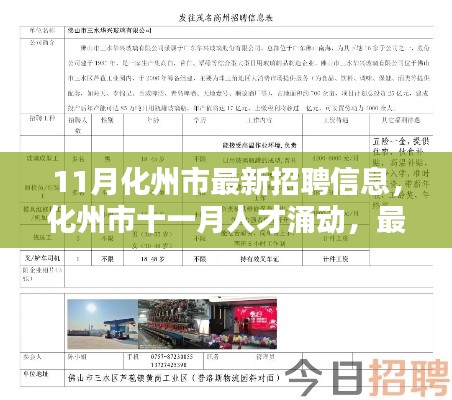 化州市十一月人才招聘热潮涌动，最新招聘信息深度解析