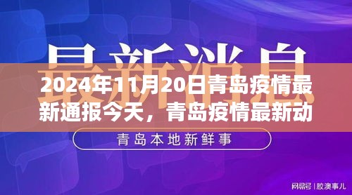 青岛疫情最新动态通报（2024年11月20日），多维视角分析与某某观点探讨