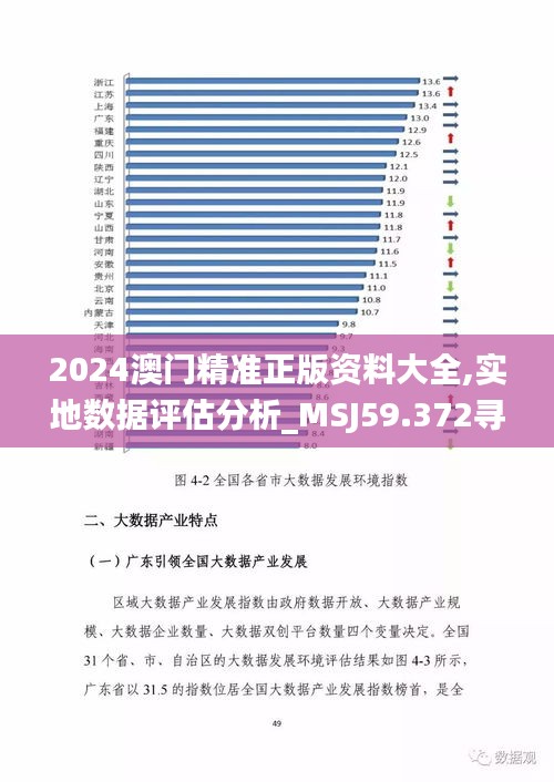 2024澳门精准正版资料大全,实地数据评估分析_MSJ59.372寻找版