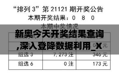 新奥今天开奖结果查询,深入登降数据利用_XVC59.182实用版