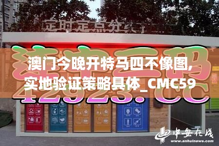 澳门今晚开特马四不像图,实地验证策略具体_CMC59.556硬核版