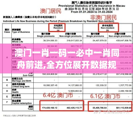 澳门一肖一码一必中一肖同舟前进,全方位展开数据规划_IRM59.702轻奢版