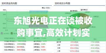 东旭光电正在谈被收购事宜,高效计划实施_FUQ59.543轻量版