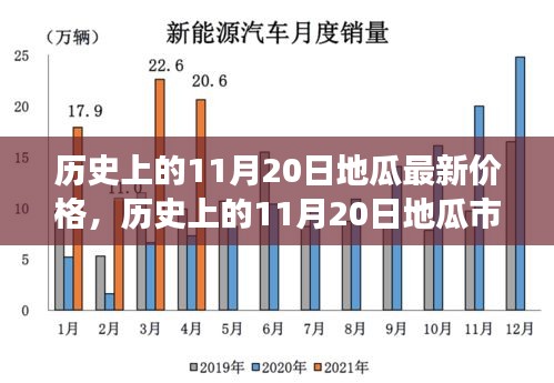 历史上的11月20日地瓜市场动态，价格、特性、体验与用户分析深度解析报告