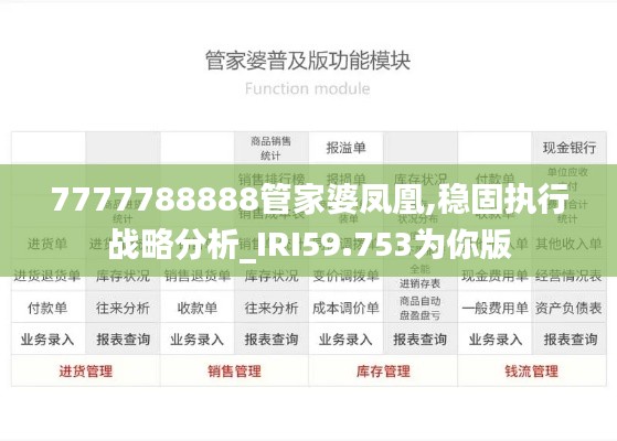 7777788888管家婆凤凰,稳固执行战略分析_IRI59.753为你版