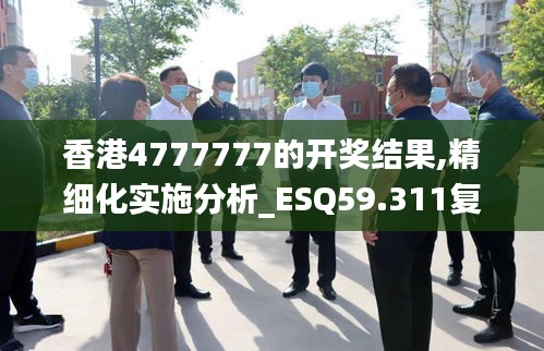 香港4777777的开奖结果,精细化实施分析_ESQ59.311复制版