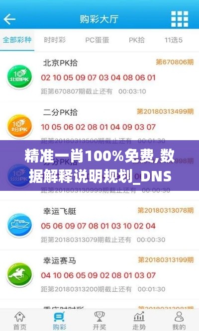 精准一肖100%免费,数据解释说明规划_DNS59.162抓拍版