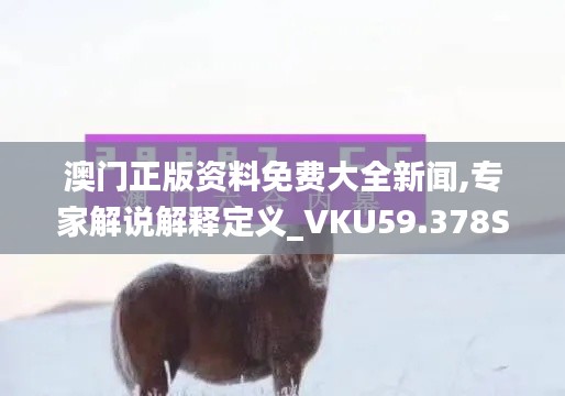 澳门正版资料免费大全新闻,专家解说解释定义_VKU59.378SE版