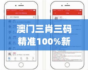 澳门三肖三码精准100%新华字典,快速产出解决方案_HCK59.948月光版