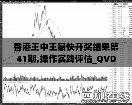 香港王中王最快开奖结果第41期,操作实践评估_QVD59.195活动版