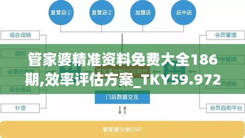 管家婆精准资料免费大全186期,效率评估方案_TKY59.972温馨版