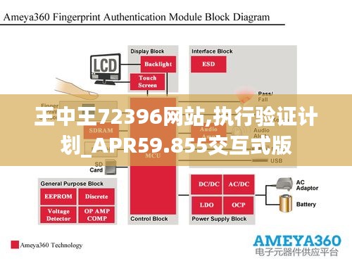 王中王72396网站,执行验证计划_APR59.855交互式版