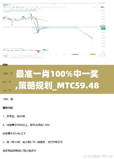 最准一肖100%中一奖,策略规划_MTC59.487随身版