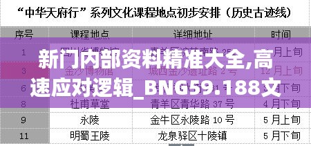 新门内部资料精准大全,高速应对逻辑_BNG59.188文化版