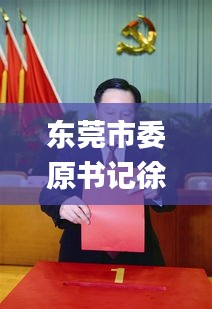 东莞市委原书记徐建华被查,实证分析细明数据_JUX59.657单独版