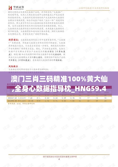 澳门三肖三码精准100%黄大仙,全身心数据指导枕_HNG59.482声学版