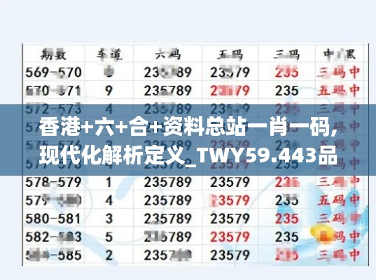 香港+六+合+资料总站一肖一码,现代化解析定义_TWY59.443品味版