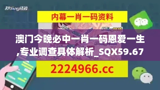 澳门今晚必中一肖一码恩爱一生,专业调查具体解析_SQX59.671学习版