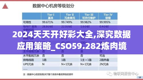 2024天天开好彩大全,深究数据应用策略_CSO59.282炼肉境