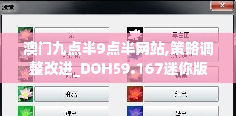 澳门九点半9点半网站,策略调整改进_DOH59.167迷你版