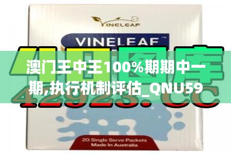 澳门王中王100%期期中一期,执行机制评估_QNU59.152高端体验版