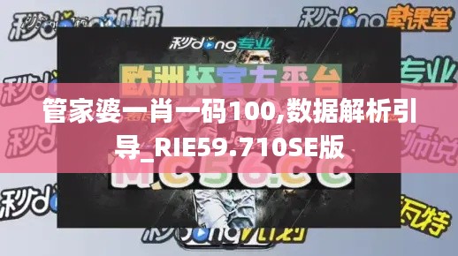 管家婆一肖一码100,数据解析引导_RIE59.710SE版