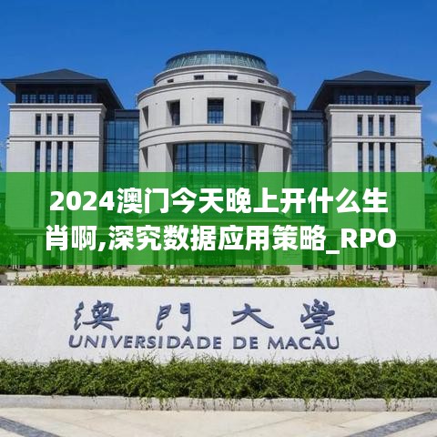 2024澳门今天晚上开什么生肖啊,深究数据应用策略_RPO59.887设计师版