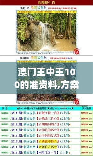 澳门王中王100的准资料,方案优化实施_OQQ59.889体验版