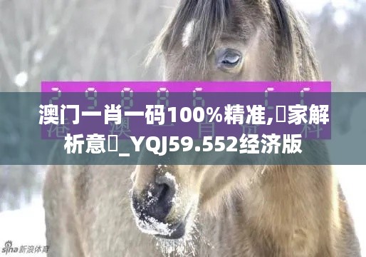 澳门一肖一码100%精准,專家解析意見_YQJ59.552经济版