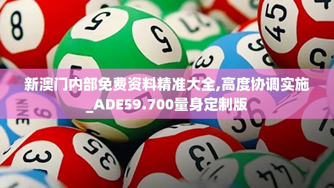 新澳门内部免费资料精准大全,高度协调实施_ADE59.700量身定制版